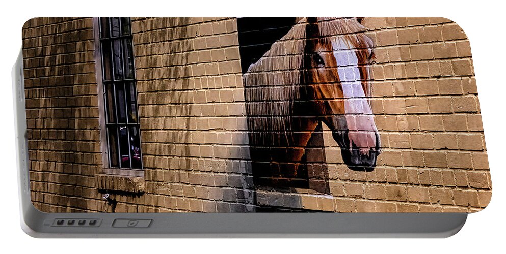 Marietta Georgia Portable Battery Charger featuring the photograph Charleston Horse Mural by Tom Singleton