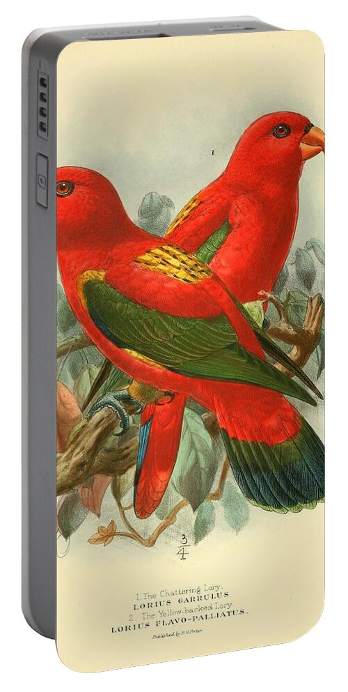Bird Portable Battery Charger featuring the mixed media Chattering Lory, Yellow backed Lory by World Art Collective