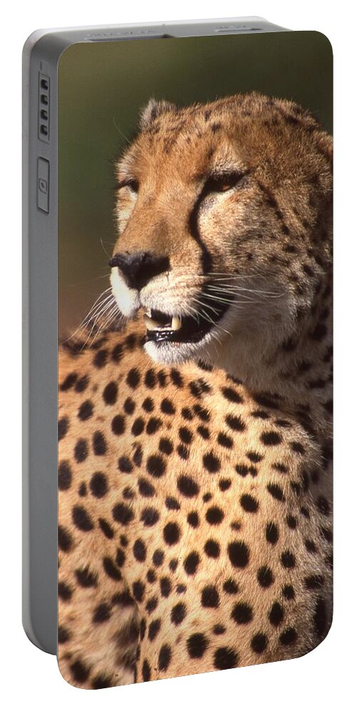 Cheetah Portable Battery Charger featuring the photograph Cheetah Profile by Russ Considine