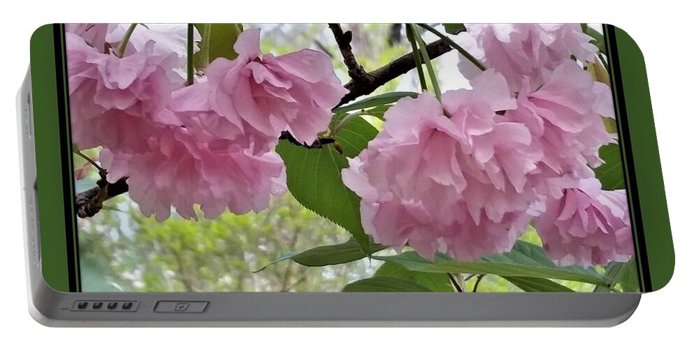 Cherry Blossoms Portable Battery Charger featuring the photograph Cherry Blossoms by Nancy Ayanna Wyatt