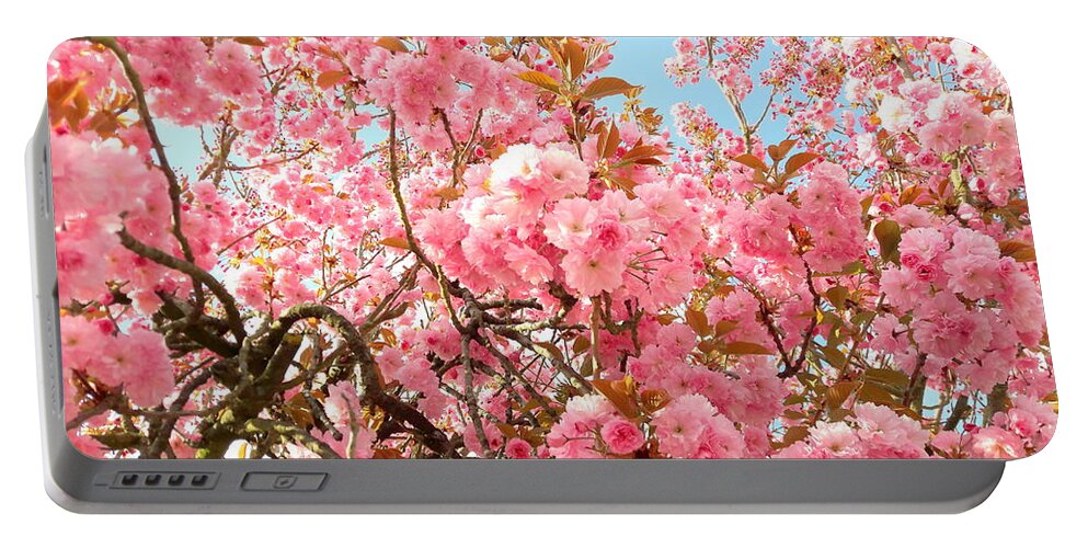 Cherry Portable Battery Charger featuring the photograph Cherry blossoms by Nataliya Vetter