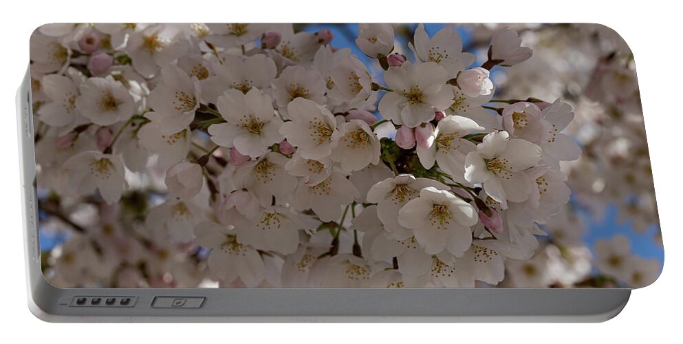 Colour Portable Battery Charger featuring the photograph Cherry boughs by Shirley Mitchell