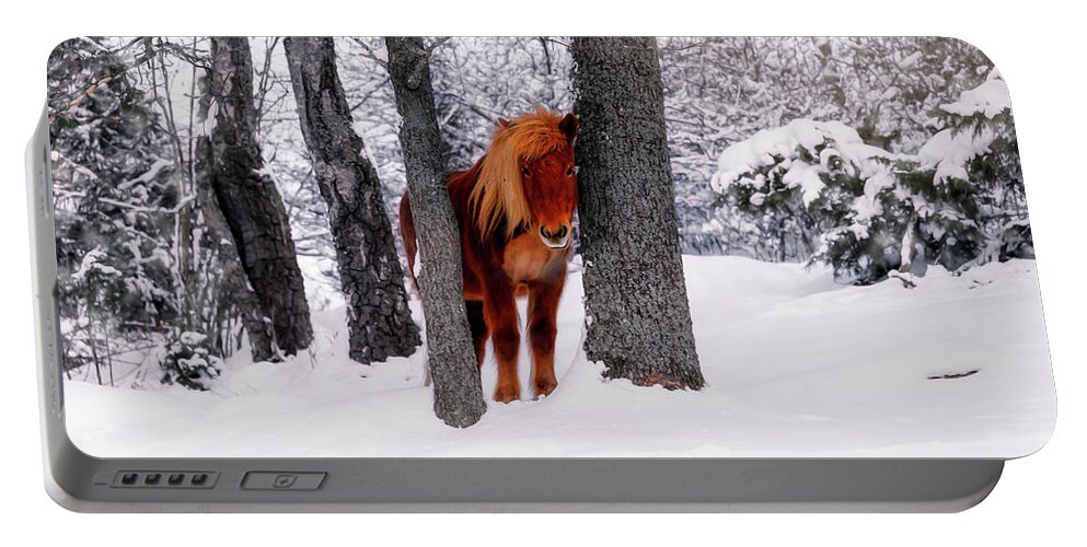 Horse Portable Battery Charger featuring the photograph Chestnut Horse Between Trees in Snowy Winter Landscape by Nicklas Gustafsson