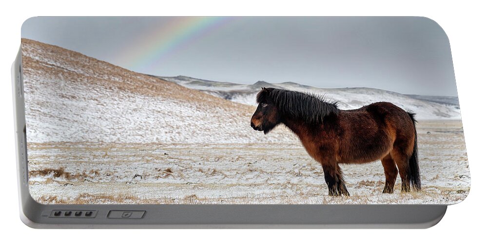 Farm Portable Battery Charger featuring the photograph Chestnut Icelandic horse with rainbow by Jane Rix