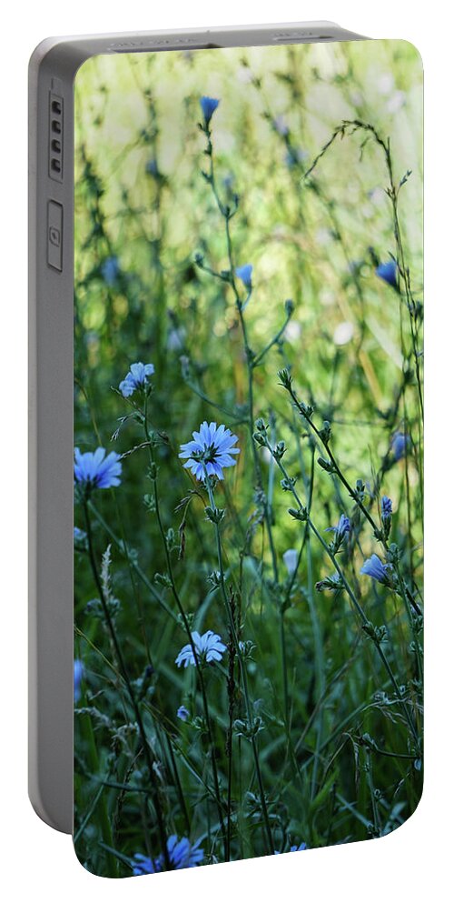 Chicory Portable Battery Charger featuring the photograph Chicory Mood by Tana Reiff