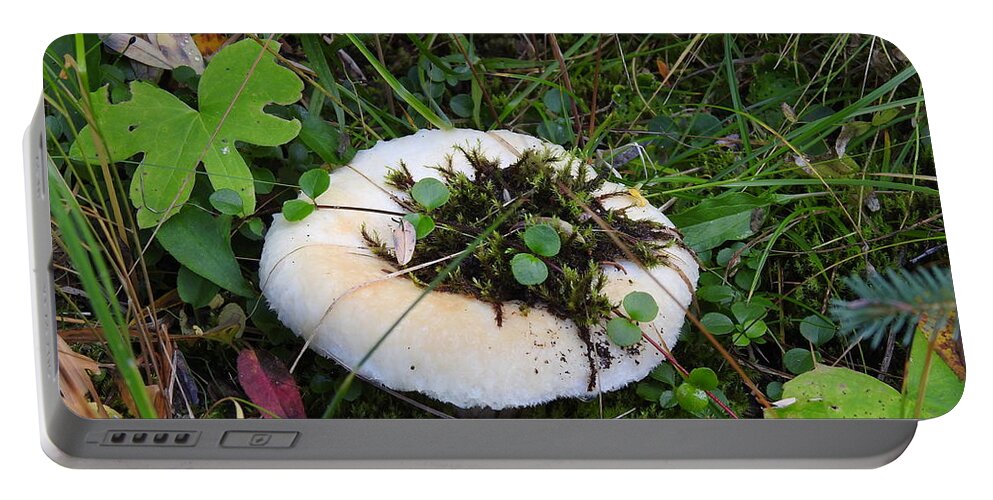 Mushroom Portable Battery Charger featuring the photograph Chilcotin Forest Mushroom Garden by Nicola Finch