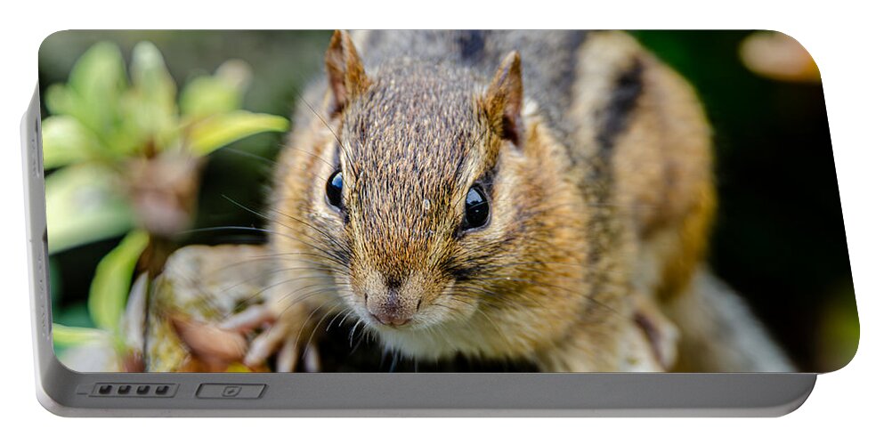 Chipmunk Portable Battery Charger featuring the photograph Chipmunk Face Drop by Wild Fotos