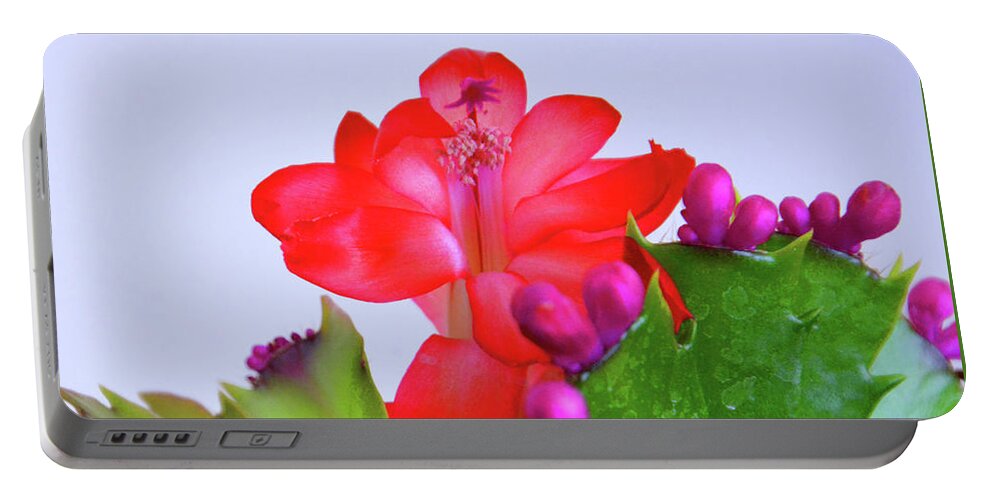 Flower Portable Battery Charger featuring the photograph Christmas Cactus by Mike Martin