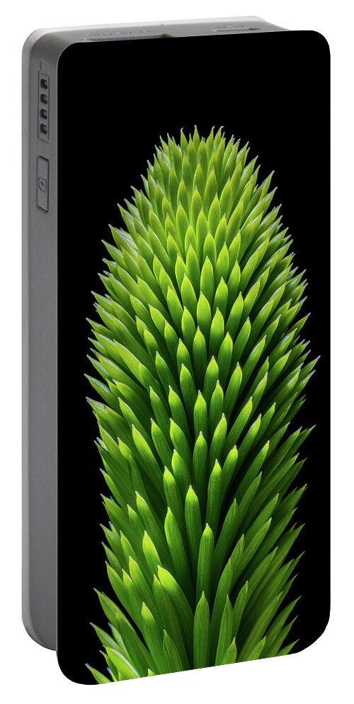 Christmas Portable Battery Charger featuring the photograph Christmas Tree Detail Study by Stan Weyler