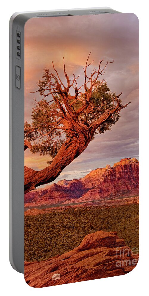 Dave Welling Portable Battery Charger featuring the photograph Clearing Storm And West Temple South Of Zion National Park by Dave Welling