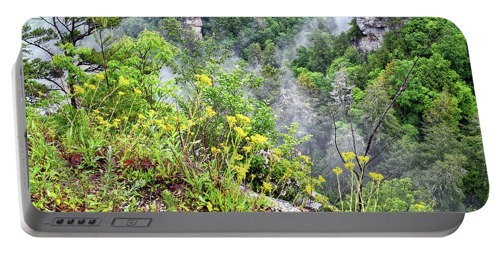 Fog Portable Battery Charger featuring the photograph Cliff Flowers by Phil Perkins