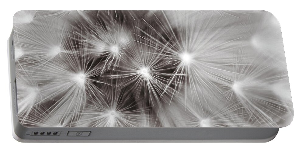 Dandelion Portable Battery Charger featuring the photograph Close up of the black and white dandelion clock by Severija Kirilovaite