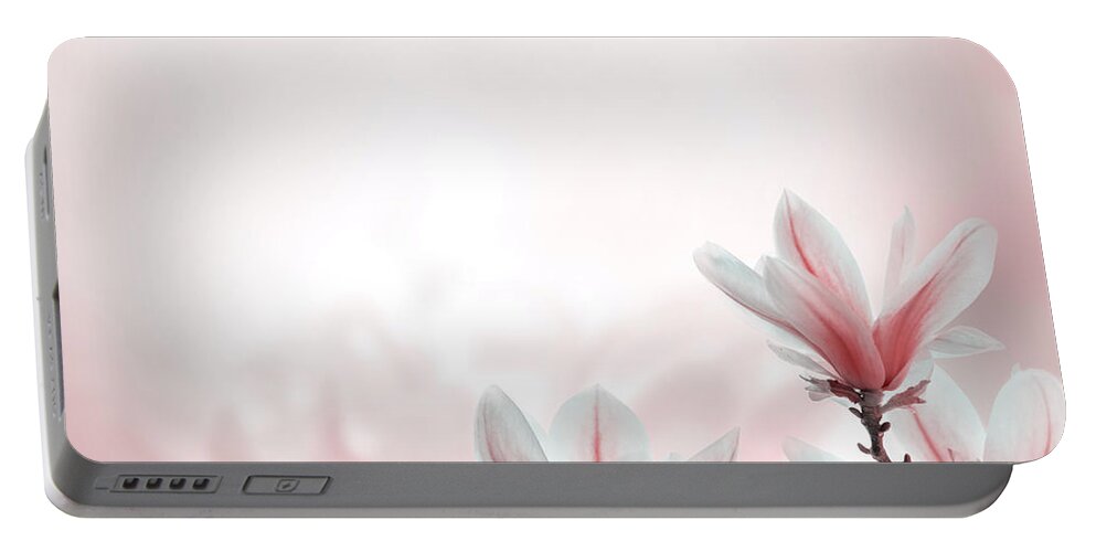 Magnolia Portable Battery Charger featuring the photograph Closeup of pink blooming magnolia tree in spring by Jelena Jovanovic