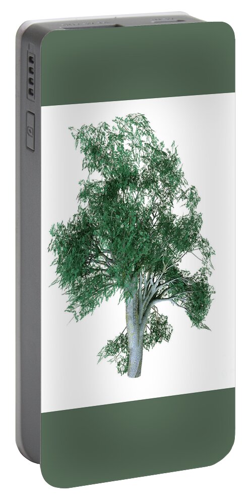 Coast Grey Box Tree Portable Battery Charger featuring the digital art Coast Grey Box Tree by Corey Ford