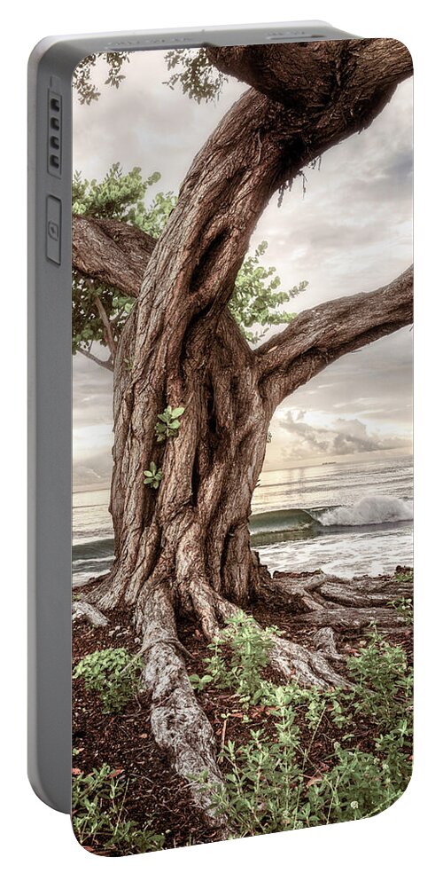 Clouds Portable Battery Charger featuring the photograph Coastal Beach Dreams by Debra and Dave Vanderlaan