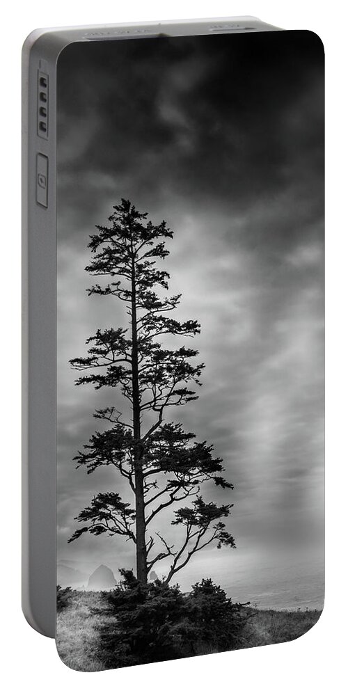 Coastal Pine Portable Battery Charger featuring the photograph Coastal Pine by David Patterson
