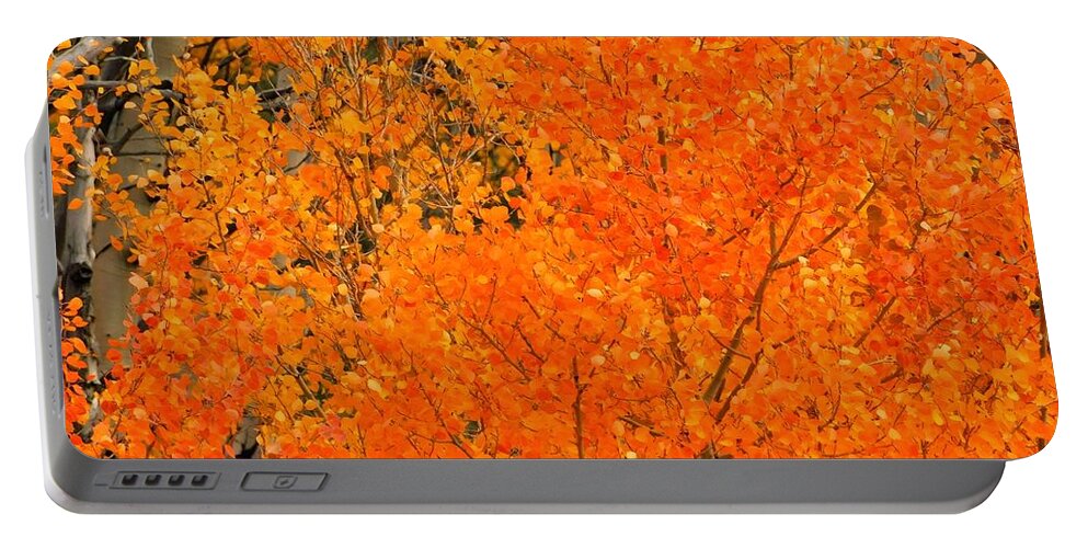 Autumn Portable Battery Charger featuring the photograph Collapse of Summer 2021 by Carl Moore