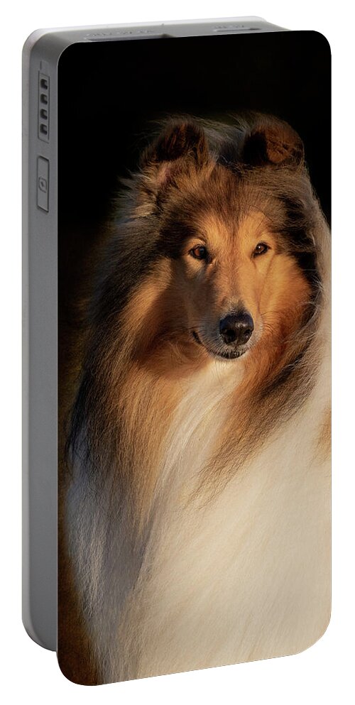 Collie Portable Battery Charger featuring the photograph Collie Rough Portrait by Diana Andersen
