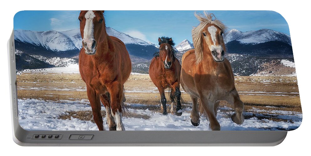 Horses Portable Battery Charger featuring the photograph Colorado Horses WC by David Soldano