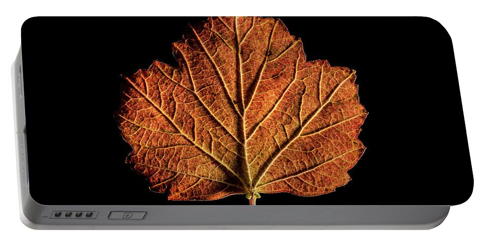 Pattern Portable Battery Charger featuring the photograph Colorful Autum Leaf by Stan Weyler