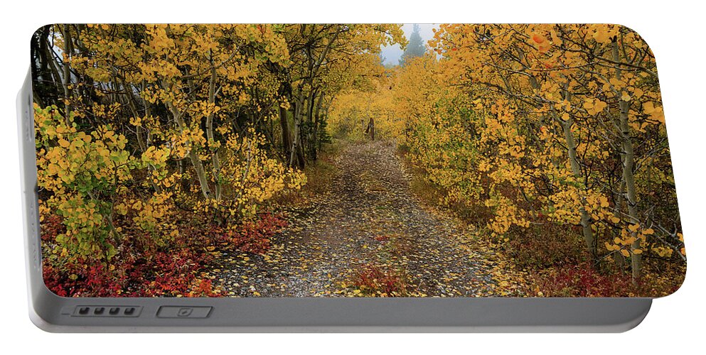 Path Portable Battery Charger featuring the photograph Colorful Autumn Path by James BO Insogna