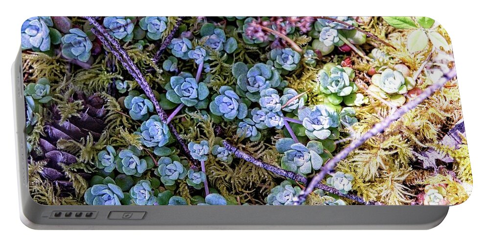 Background Portable Battery Charger featuring the photograph Colorful Forest Floor by David Desautel