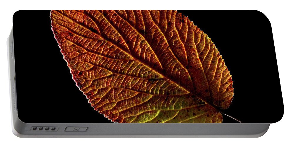 Autumn Portable Battery Charger featuring the photograph Colors of Autumn by Stan Weyler