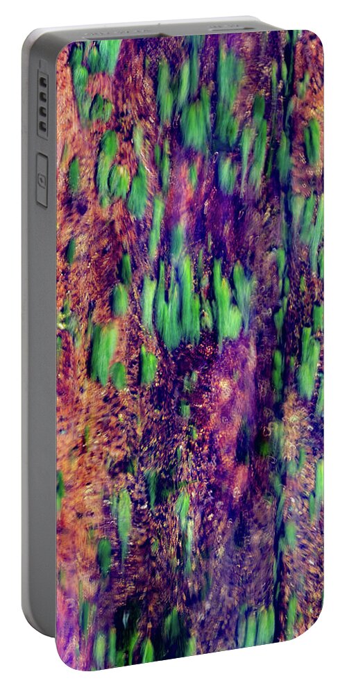 Abstract Portable Battery Charger featuring the photograph Colors of Nature by Stan Weyler