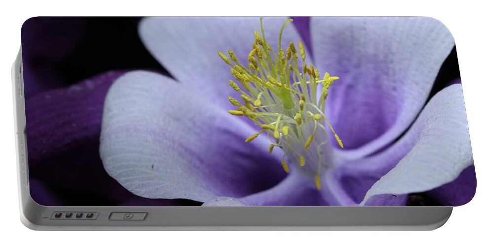 Macro Portable Battery Charger featuring the photograph Columbine 764 by Julie Powell