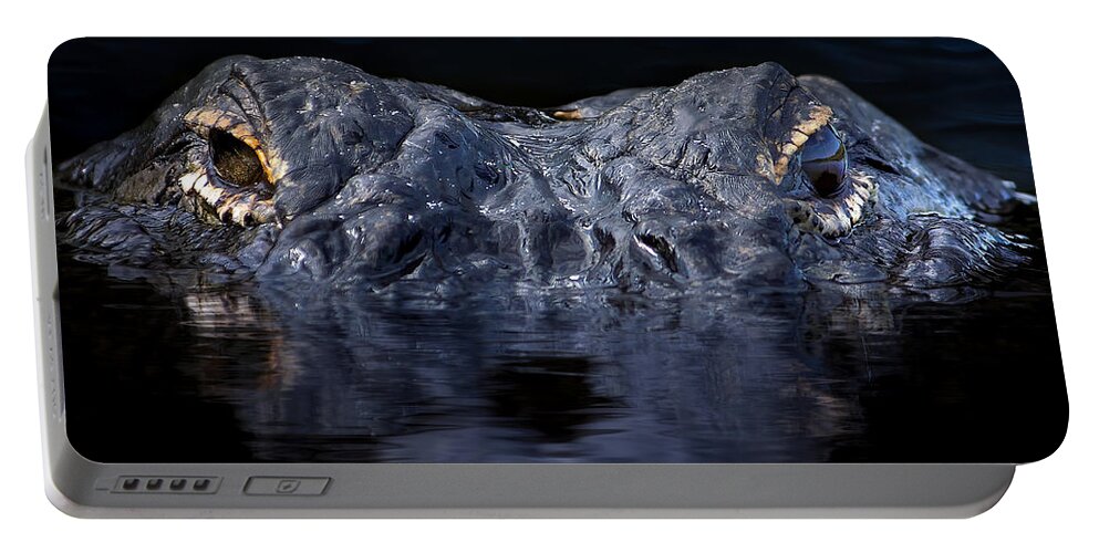 Alligator Portable Battery Charger featuring the photograph Come Closer Alligator Greeting by Mark Andrew Thomas