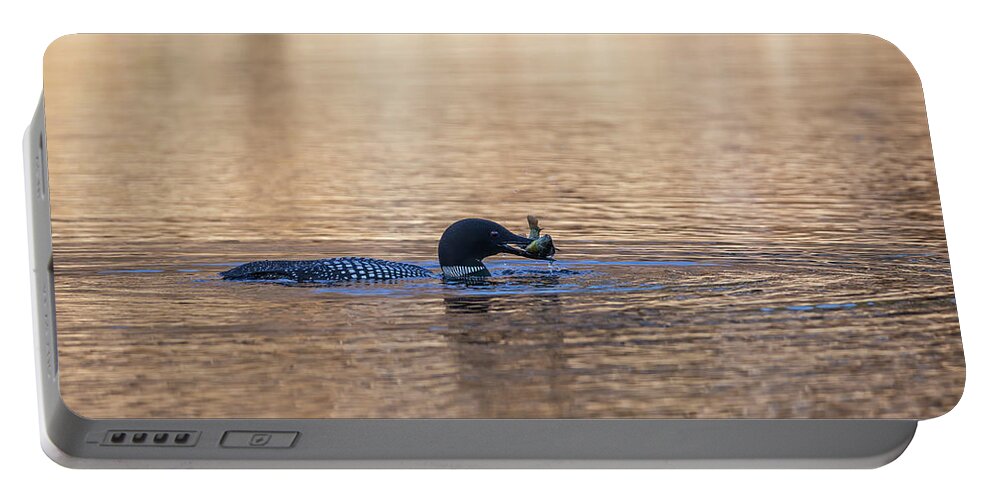 Common Loon Portable Battery Charger featuring the photograph Common Loon With A Fish 2019-2 by Thomas Young
