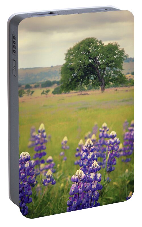 Hwy 36 Wildflowers Portable Battery Charger featuring the photograph Complements of Spring by Marnie Patchett