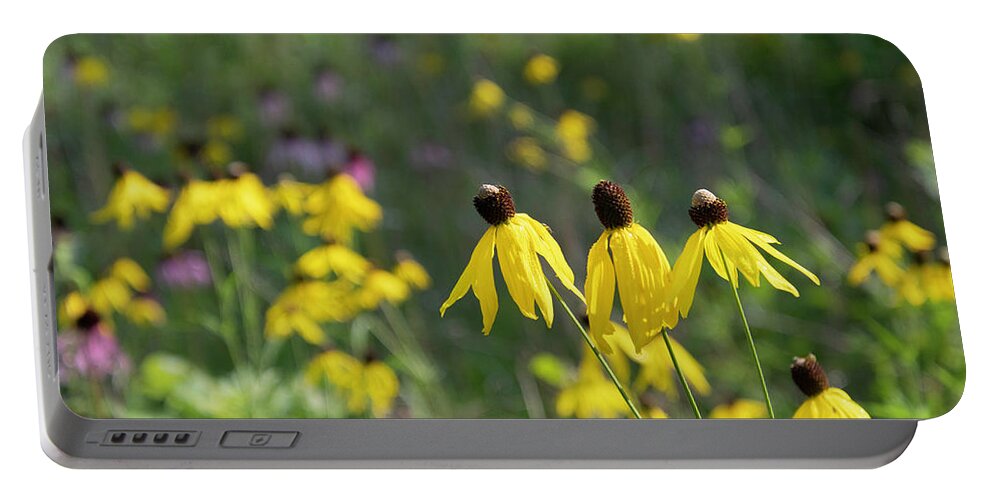 Gray-headed Coneflower Portable Battery Charger featuring the photograph Coneflower Meadow by Cascade Colors