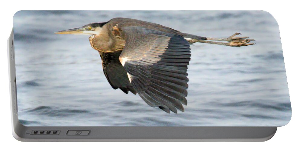 Heron Portable Battery Charger featuring the photograph Conowingo Blue Heron In Flight by Adam Jewell