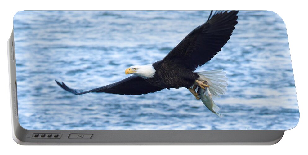 Conowingo Portable Battery Charger featuring the photograph Conowingo Eagle With A Fresh Catch by Adam Jewell