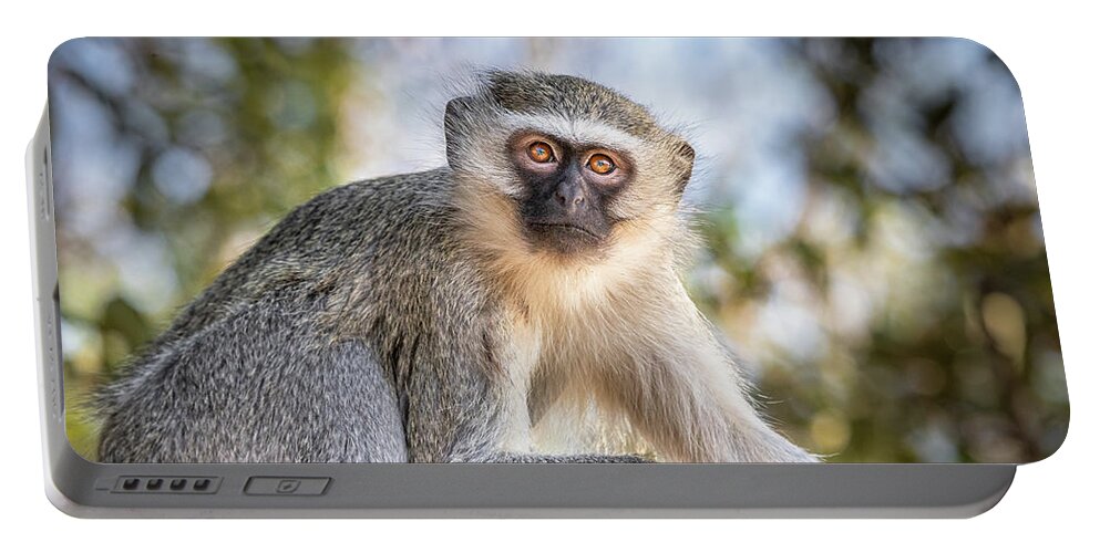 Monkey Portable Battery Charger featuring the photograph Contemplating The Day Ahead by Elvira Peretsman
