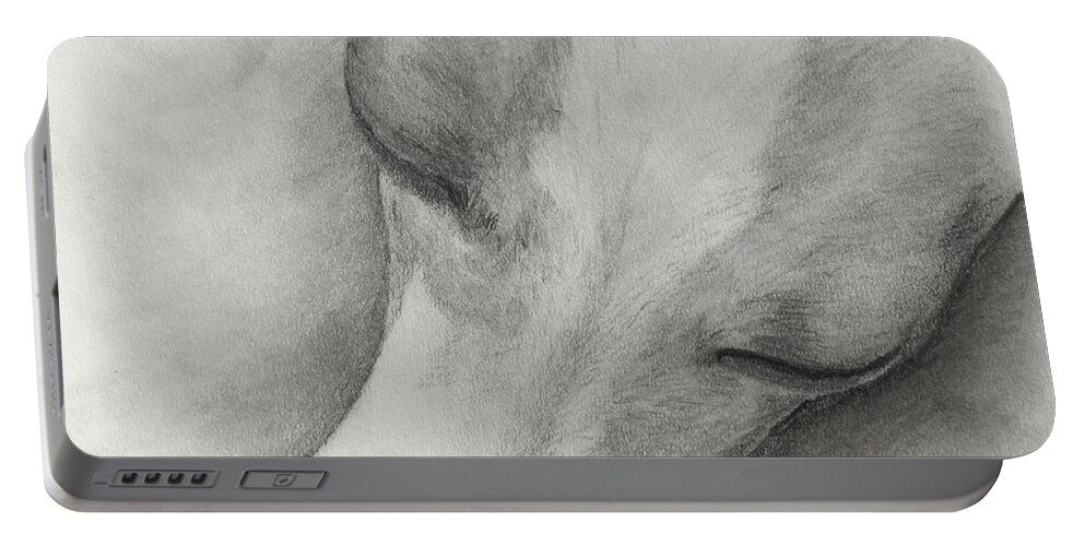 Italian Greyhound Portable Battery Charger featuring the drawing Comfy by Heather E Harman