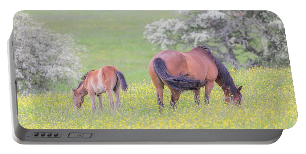 Horses Portable Battery Charger featuring the photograph Contentment - Mare and Foal in a meadow by Anita Nicholson