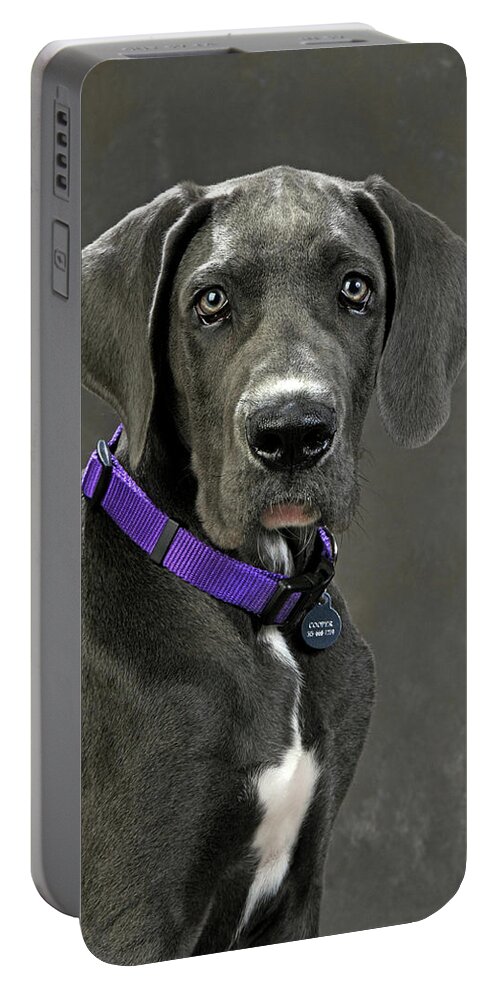 Great Dane Portable Battery Charger featuring the photograph Cooper by Robert Dann