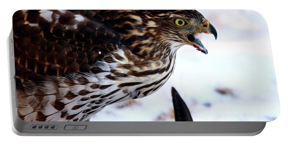 Hawk Portable Battery Charger featuring the photograph Cooper's Hawk by Scott Mahon