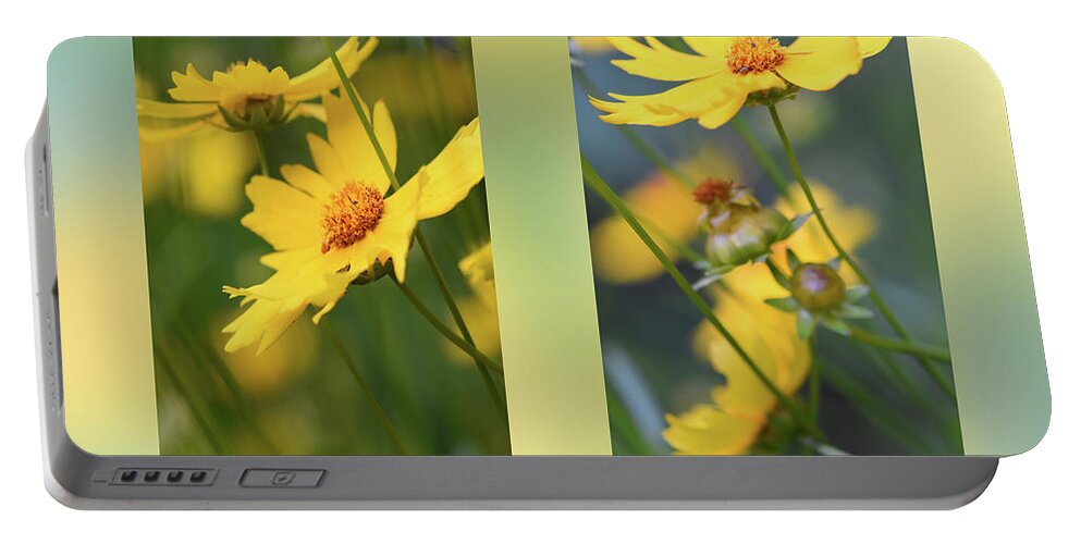 Coriopsis Portable Battery Charger featuring the photograph Coriopsis by Phil And Karen Rispin