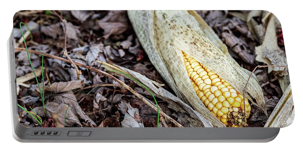 Corn Portable Battery Charger featuring the photograph Corn on the Grounds by Amelia Pearn