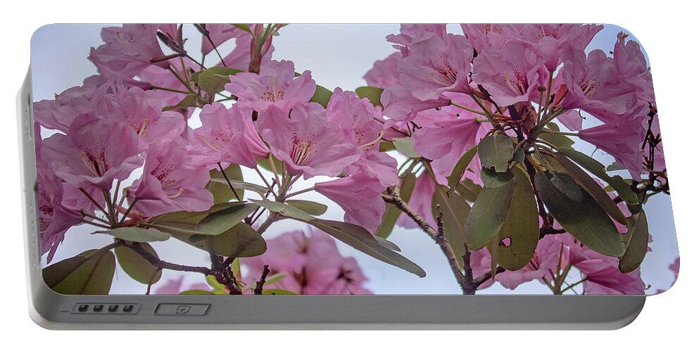 Rhododendron Portable Battery Charger featuring the photograph Cornell Botanic Gardens #6 by Mindy Musick King