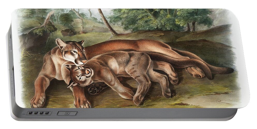 America Portable Battery Charger featuring the mixed media Cougar, Cougars. John Audubon by World Art Collective