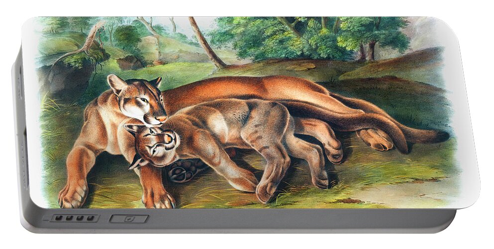 Cougar Portable Battery Charger featuring the drawing Cougar by John Woodhouse Audubon