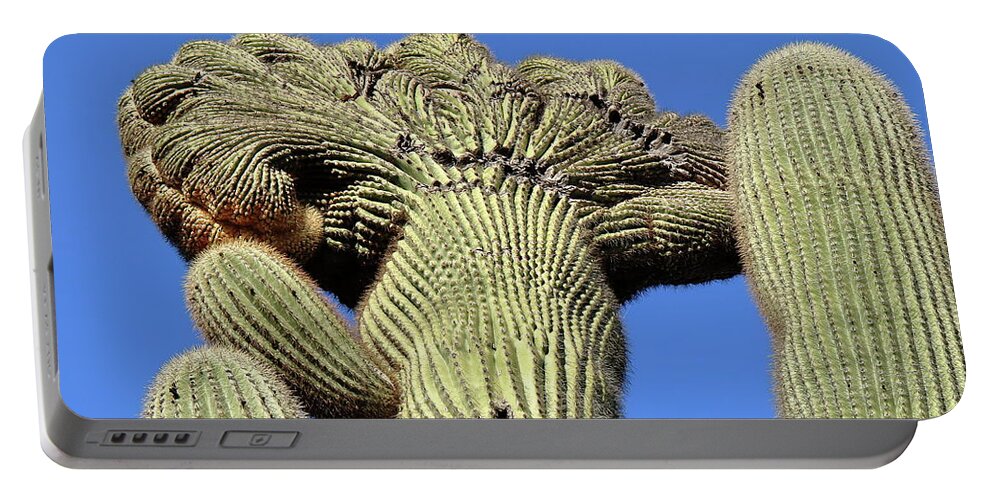 Cactus Portable Battery Charger featuring the photograph Crested Saguaro at Organ Pipe Cactus National Monument by Steve Wolfe