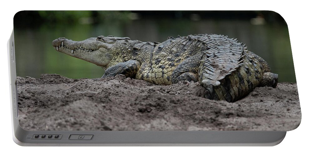 Crocodile Portable Battery Charger featuring the photograph Crocodile by Carolyn Hutchins