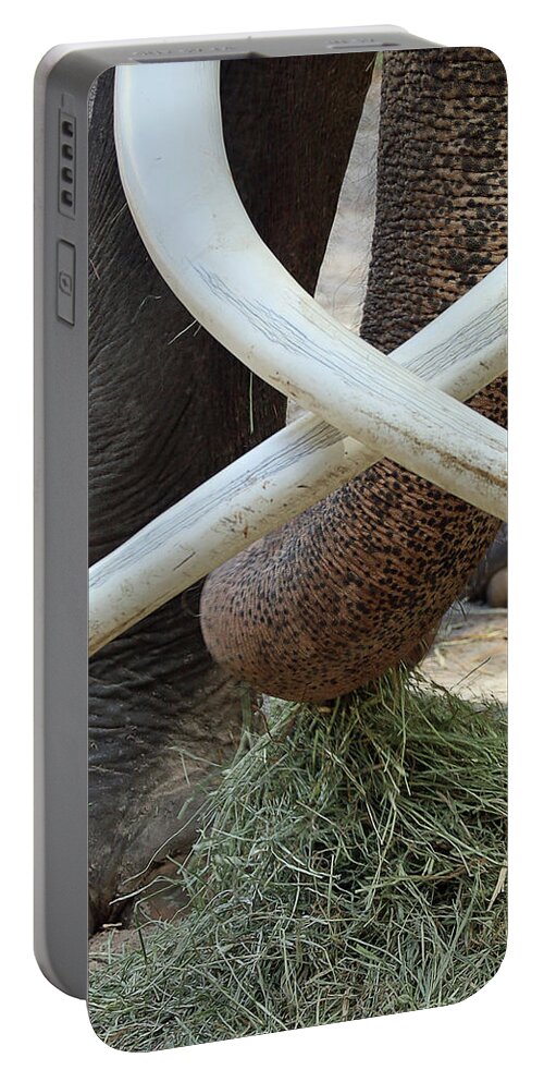 Elephant Portable Battery Charger featuring the photograph Crossed Tusks by M Kathleen Warren