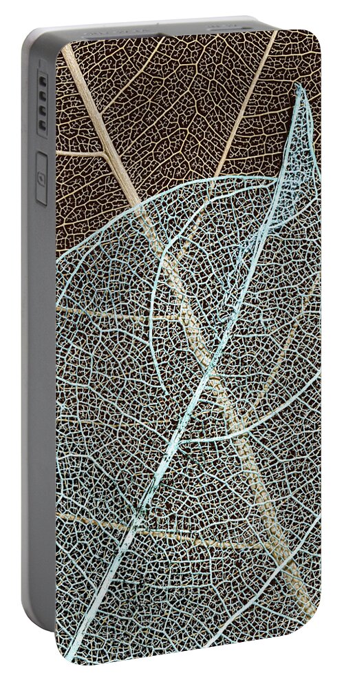 #leaf #skeleton #intersecting #layers #minimalist #art #simplicity #clean #contrasts #curiosity #office Art #isolation #neatness #patterns #photo #still Life #wall Art #solitary #two #double #combined #lines #repetition #modern Decor #shabby Chic Decor #traditional Decor Portable Battery Charger featuring the photograph Crossroads Of The Skeleton Leaves by Gary Slawsky