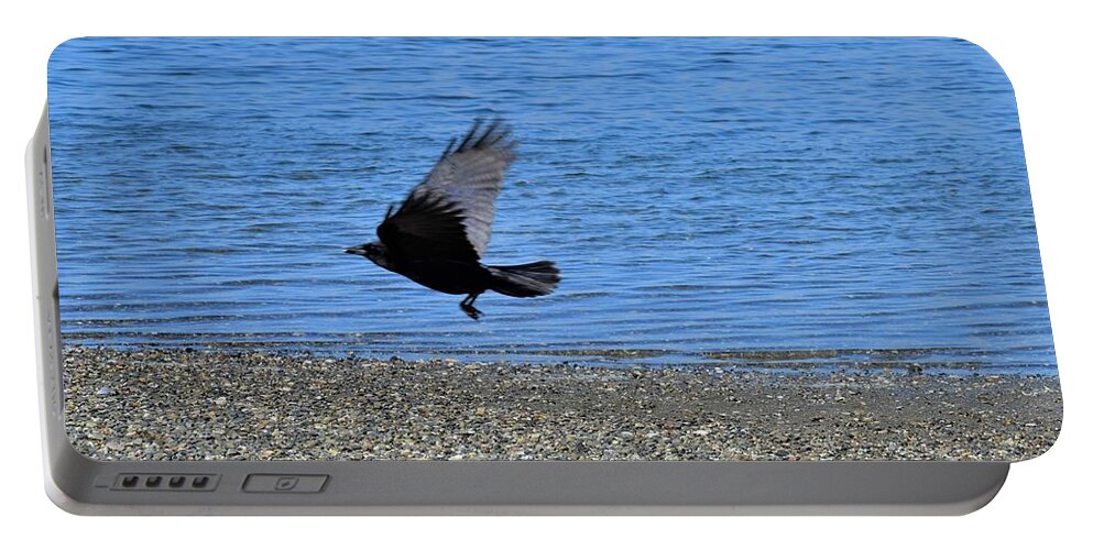 Crow Portable Battery Charger featuring the photograph Crow Explores Rocky Beach by James Cousineau